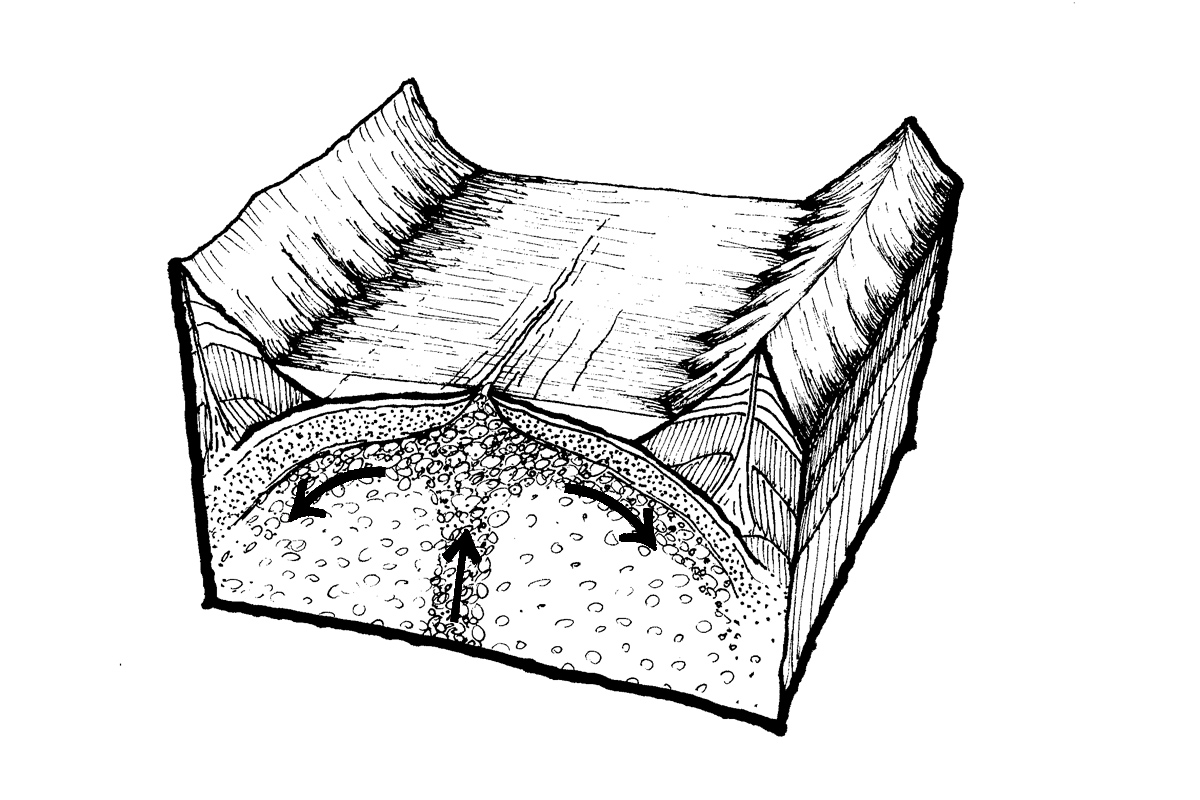 Tectone Ripped 2013illust-tecton – Richie Gunn